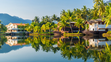 Obraz premium Landscape with palm trees