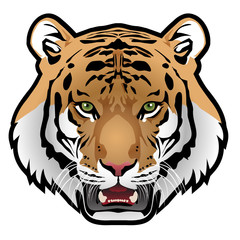 Fototapeta premium Tiger head on white background vector illustration.