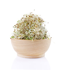 Fresh sprouts isolated on white background.