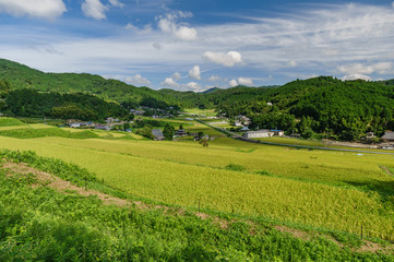 Fototapeta na wymiar japanese landscape - hase no tanada - nose - osaka