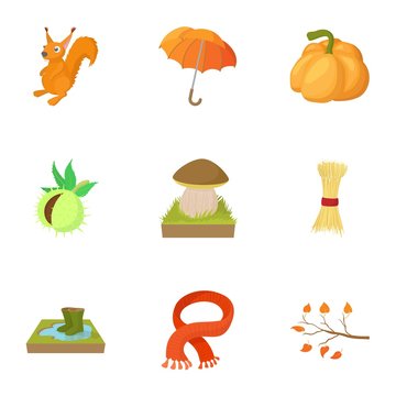 Autumn icons set, cartoon style