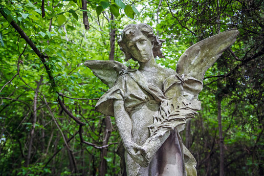 Fragment statue of angel at the cemetery in Budapest, Hungary.