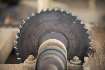 Carpenter cutting flaxboard using sliding compound mitre saw