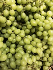 Green Grapes , Grape background