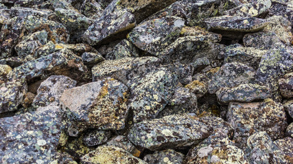 Stones covered with moss