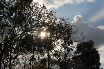 Retrieved on holiday