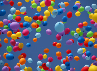 Multi colored balloons on a blue sky
