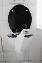 Eine Rolle Toilettenpapier liegend auf einer  WC-Brille