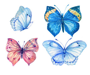 Obraz na płótnie Canvas бабочки