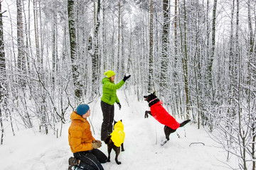 Activefamily walk the dog in the winter forest.