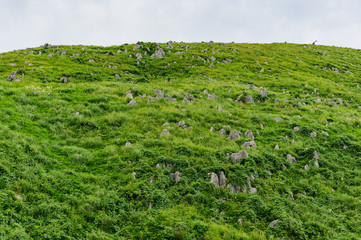 japanese landscape - akiyoshidai - mine - yamaguchi