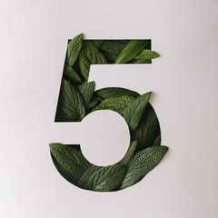 Number five shape cutout with green leaves. Nature concept. Flat