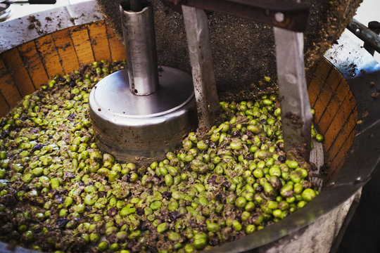 A bowl of olives in a mechanical processor to clean and crush the fruits. 