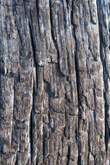 texture