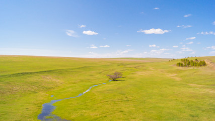 Calm landscape with green grass