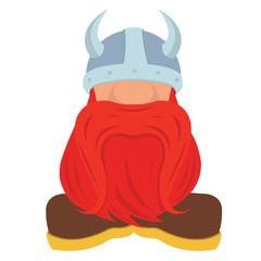 Mr. Viking