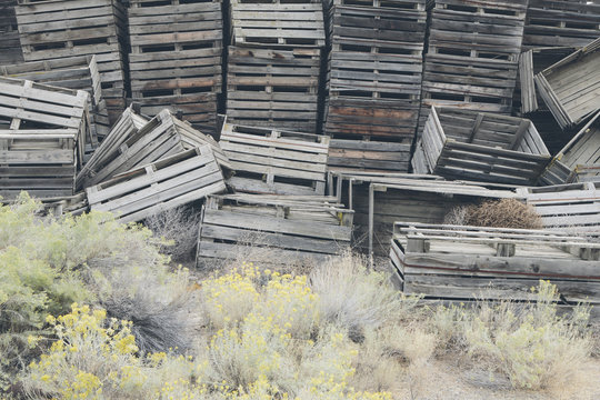 Pile of old and discarded wooden fruit crates, boxes for apple harvest