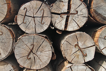 Naklejka premium Holz