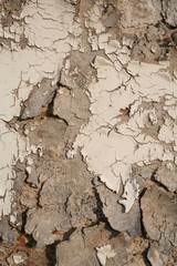 texture