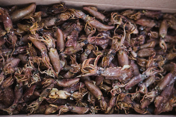 Fish market in Asia. Dried Octopus closeup.