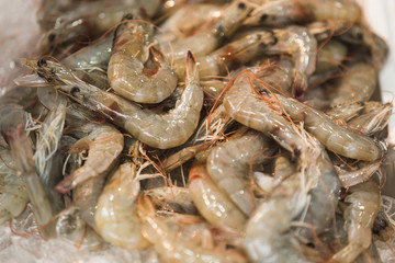 Fish market in Asia. Raw prawns close-up.