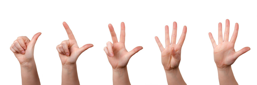Mit Fingern z&auml;hlen, H&auml;nde zeigen 1-5