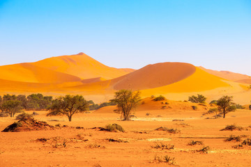 Red dunes of Namib Desert near Sossusvlei, aka Sossus Vlei, Namib-Naukluft National Park, Namibia, Africa.