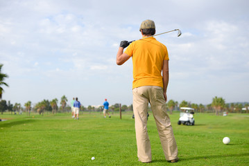 Back view of active man holding club playing golf on palm tree grass field outdoors background.