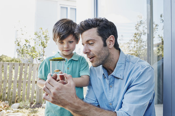 Father and son catching together a cricket