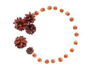 Frame from cones and nuts. Isolated on a white background.
