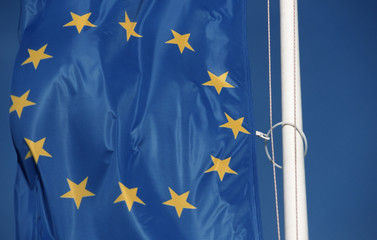 Flag of the European Union