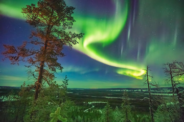 Nothern lights over Lapland © widewingsstudio