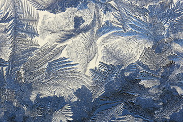 winter pattern of ice crystals on glass