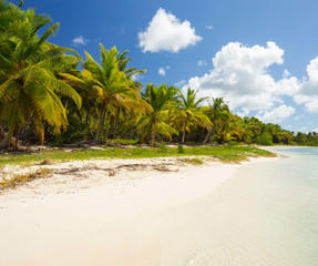 Saona Island Landscape, Punta Cana, Dominican Republic