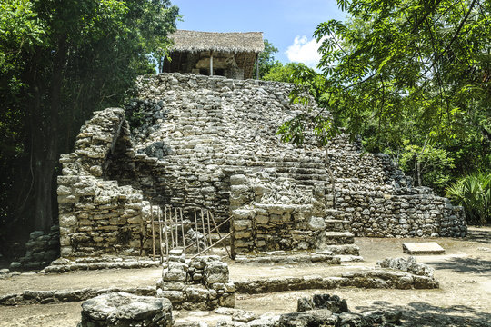 ruins of the pyramid of the Mayan paintings in the archaeological place of Coba, in Qintana Roo, Mexico