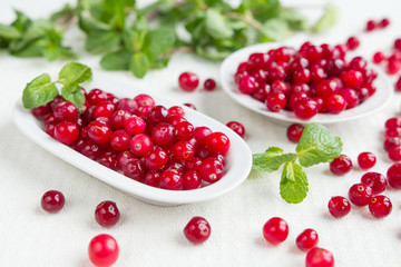 Fresh juicy cranberry and mint juice, close-up