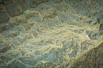 Abstract patterns in mud from puddle