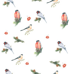 the pattern of the birds. Seamless watercolor, red bird and pine branches, berries.