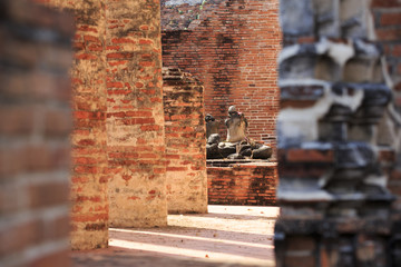 アユタヤ遺跡ワット・クディーダーオ