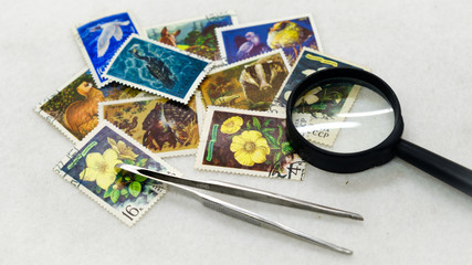 old postage stamps tweezer and magnifier