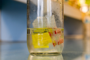 Samples preserved in a bottle for the experiments in the lab.