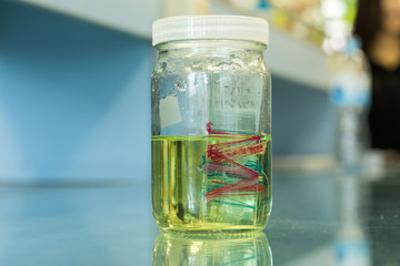 Samples preserved in a bottle for the experiments in the lab.