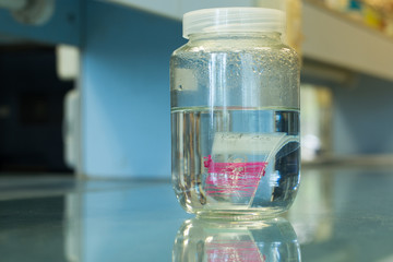Samples preserved in a bottle for the experiments in the lab.