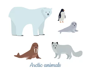 Foto op Canvas Set of Arctic Animals Illustrations in Flat Design © robu_s