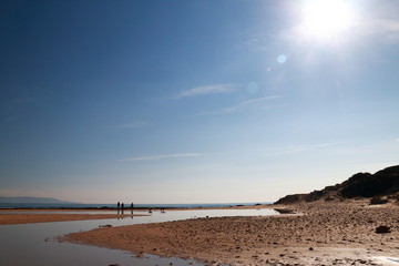 Unrecognizable people strolling along the beach with their dogs