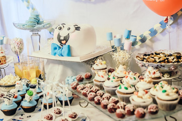 Beautiful candy bar for children party