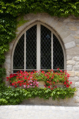 Fototapeta na wymiar French Church Window