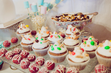 Beautiful candy bar for children party