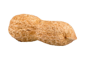 Groundnuts on a white background
