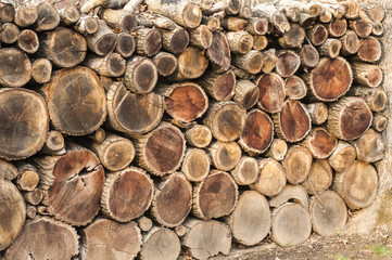 Well arranged cut dry oak firewood closeup aa background